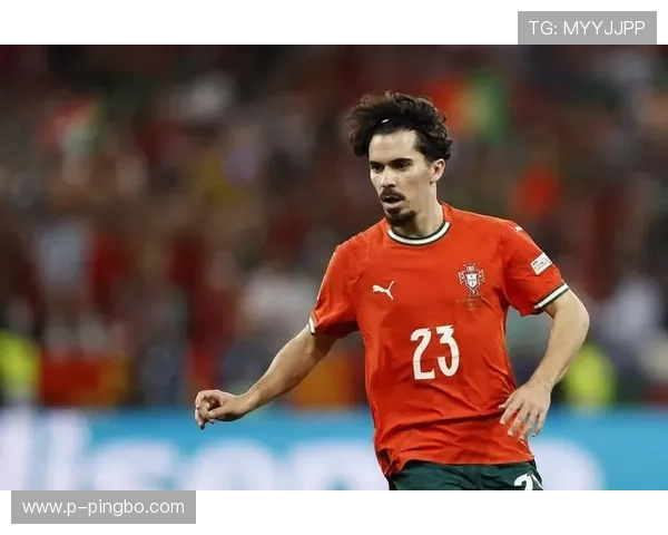 维蒂尼亚能否承担核心角色及制约因素分析